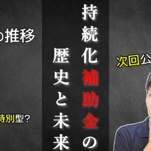 小規模事業者持続化補助金の歴史と未来